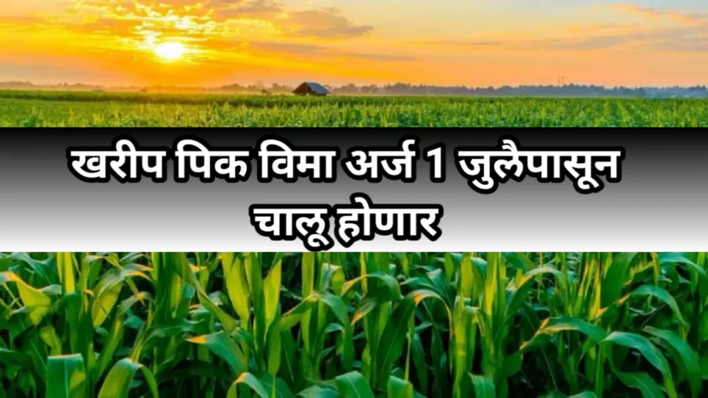 खरीप पिक विमा अर्ज 1 जुलैपासून चालू होणार | Kharip Pik Vima 