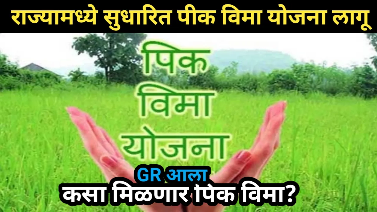 राज्यामध्ये सुधारित पीक विमा योजना लागू, कसा मिळणार पिक विमा? | Pik Vima Yojana