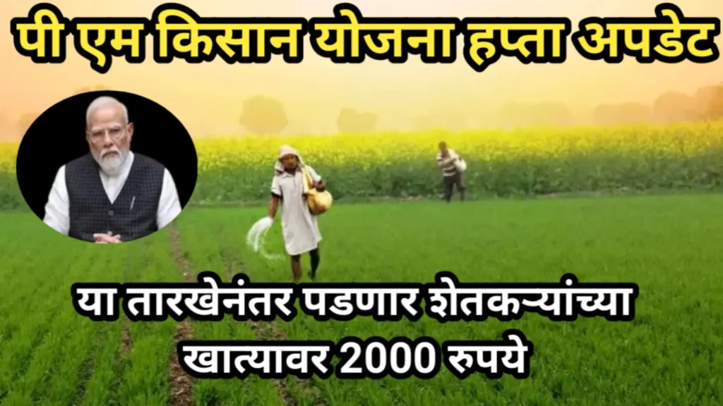 पी एम किसान योजना हप्ता अपडेट, या तारखेनंतर पडणार शेतकऱ्यांच्या खात्यावर 2000 रुपये | PM Kisan Yojana 