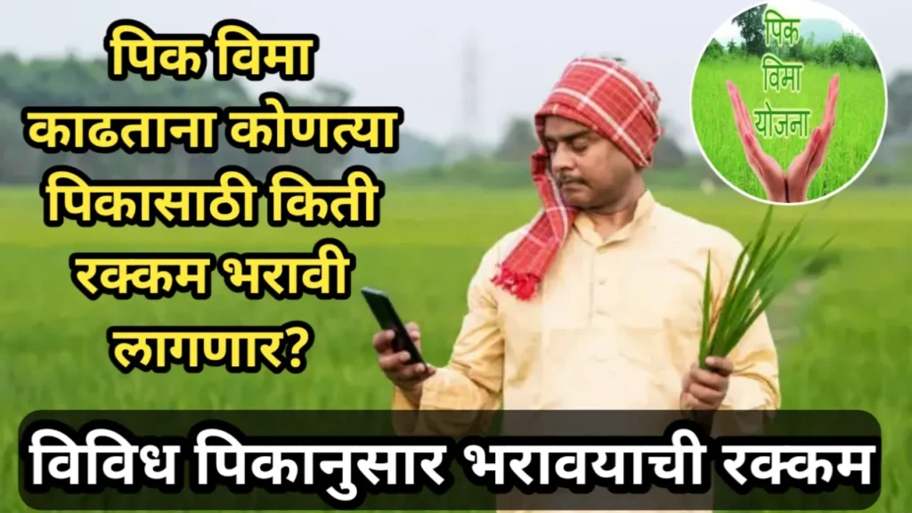 पिक विमा काढताना कोणत्या पिकासाठी किती रक्कम भरावी लागणार? विविध पिकानुसार भरावयाची रक्कम | Pik Vima Rakkam 
