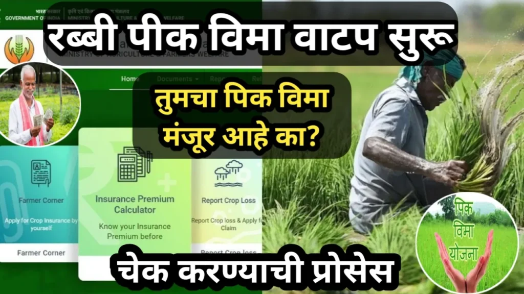 रब्बी पीक विमा वाटप सुरू, तुमचा पिक विमा मंजूर आहे का? चेक करण्याची प्रोसेस | Pik Vima Yojana 