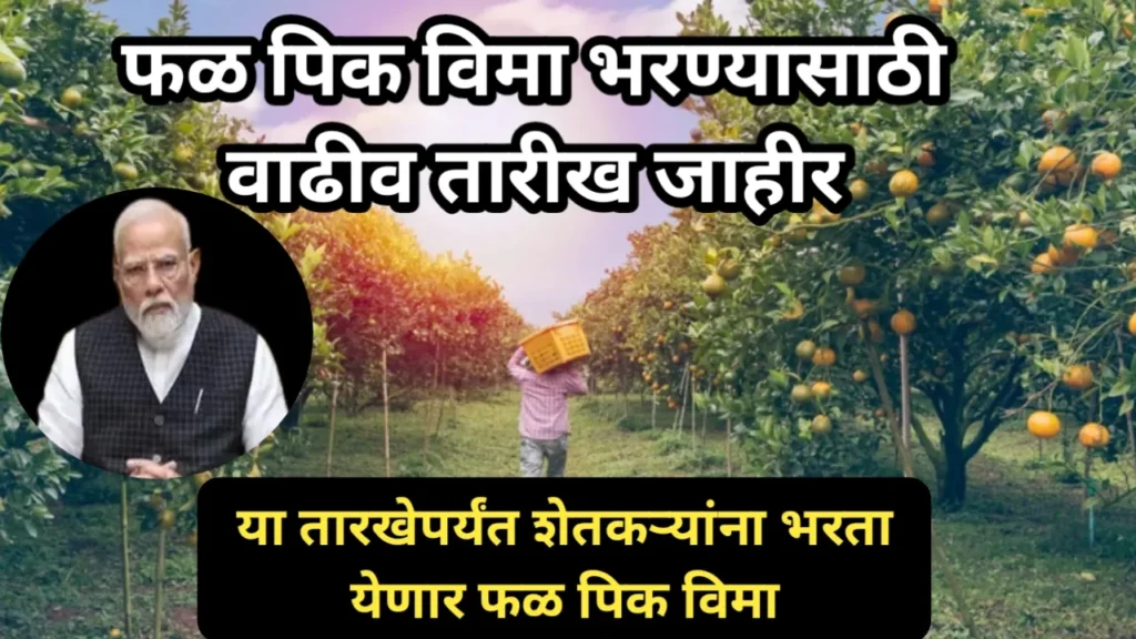 फळ पिक विमा भरण्यासाठी वाढीव तारीख जाहीर, या तारखेपर्यंत शेतकऱ्यांना भरता येणार फळ पिक विमा | Fal Pik Vima Yojana 