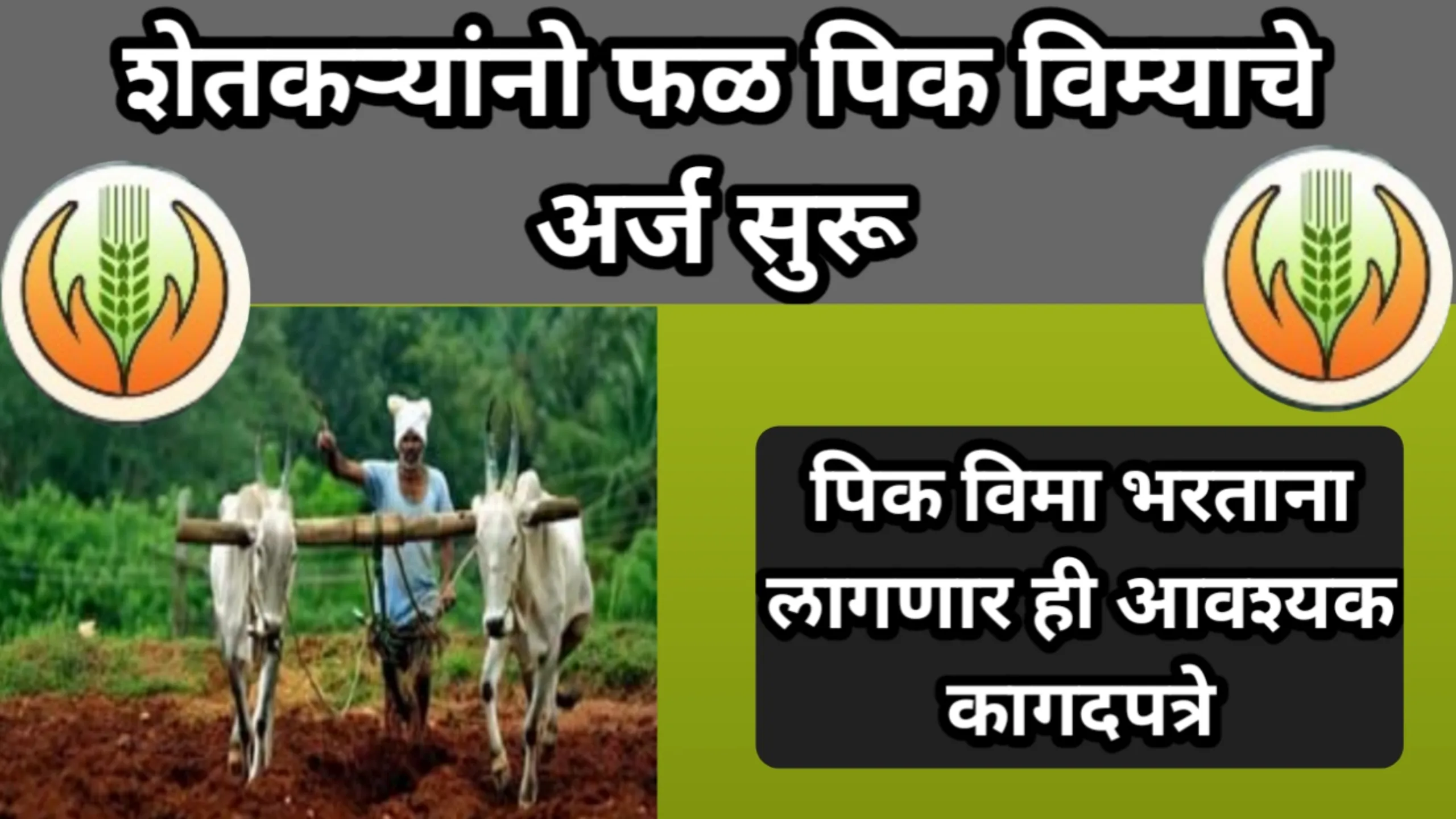 शेतकऱ्यांनो फळ पिक विम्याचे अर्ज सुरू, पिक विमा भरताना लागणार ही आवश्यक कागदपत्रे | Fal Pik Vima Yojana 2025
