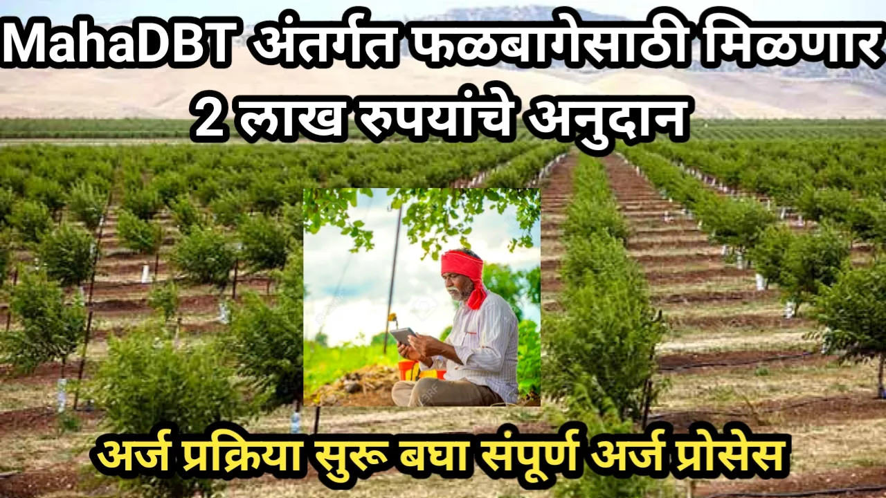 MahaDBT अंतर्गत फळबागेसाठी मिळणार 2 लाख रुपयांचे अनुदान, अर्ज प्रक्रिया सुरू बघा संपूर्ण अर्ज प्रोसेस | Falbag Anudan Arj Prosess