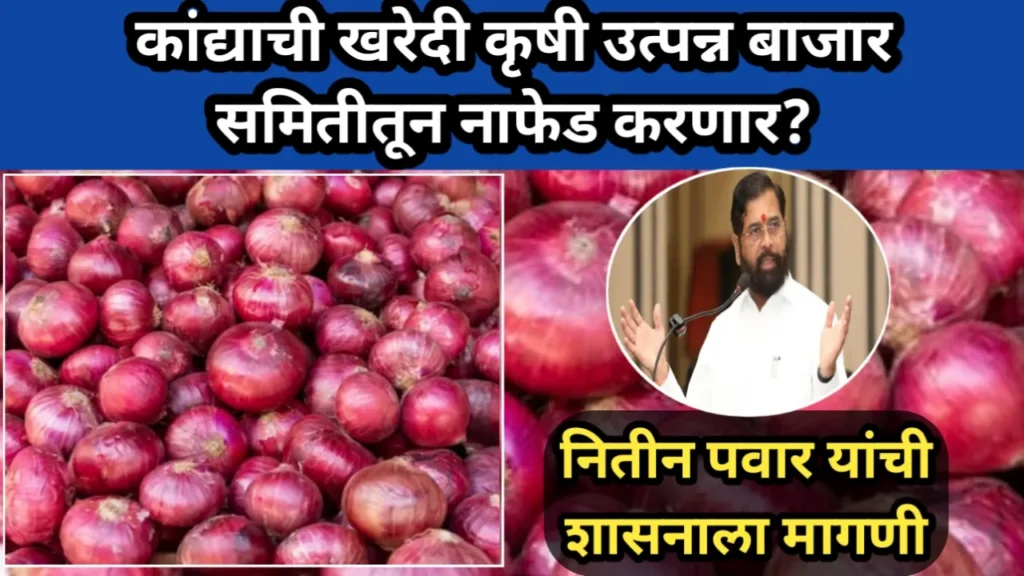 कांद्याची खरेदी कृषी उत्पन्न बाजार समितीतून नाफेड करणार? नितीन पवार यांची शासनाला मागणी | Kanda Kharedi Nafed 