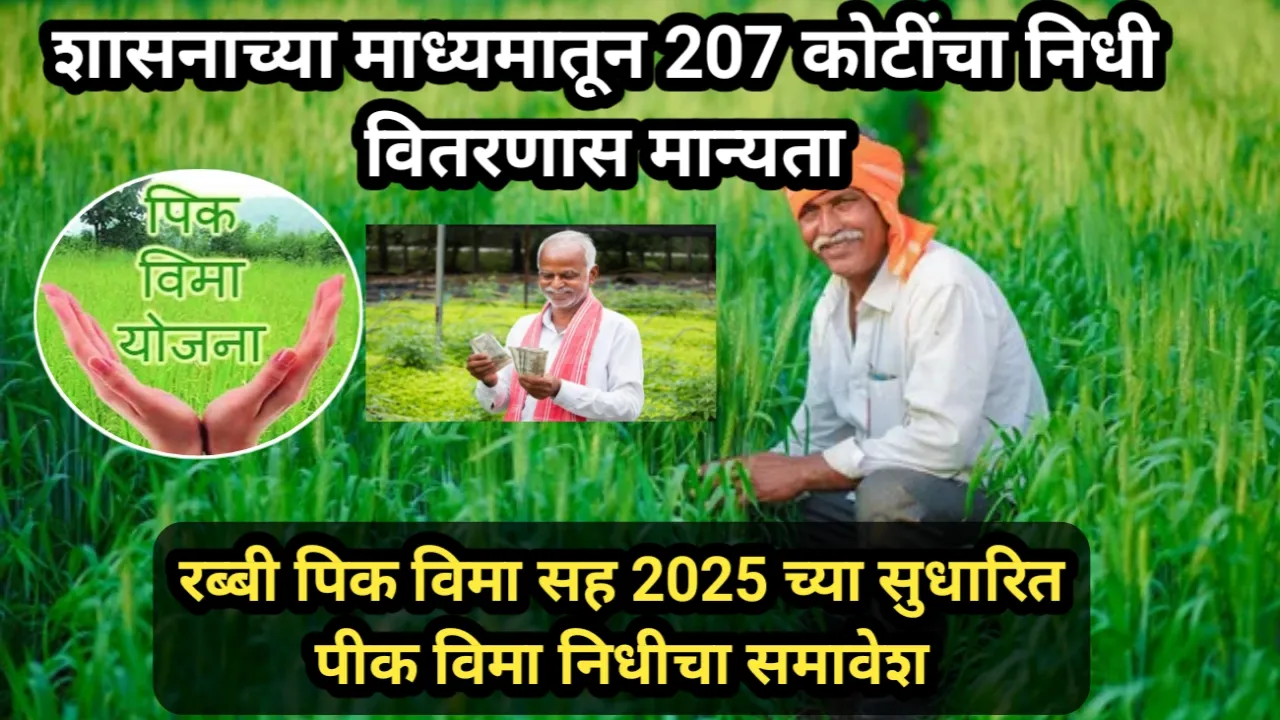 शासनाच्या माध्यमातून 207 कोटींचा निधी वितरणास मान्यता, रब्बी पिक विमा सह 2025 च्या सुधारित पीक विमा निधीचा समावेश | Pik Vima Nidhi Manyata