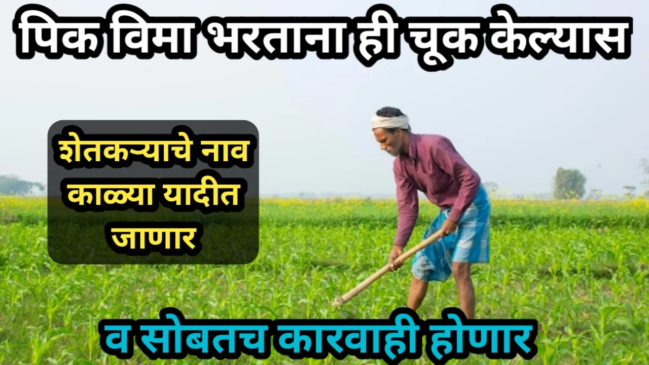 पिक विमा भरताना ही चूक केल्यास, शेतकऱ्याचे नाव काळ्या यादीत जाणार, व सोबतच कारवाही होणार | Bogas pik Vima update
