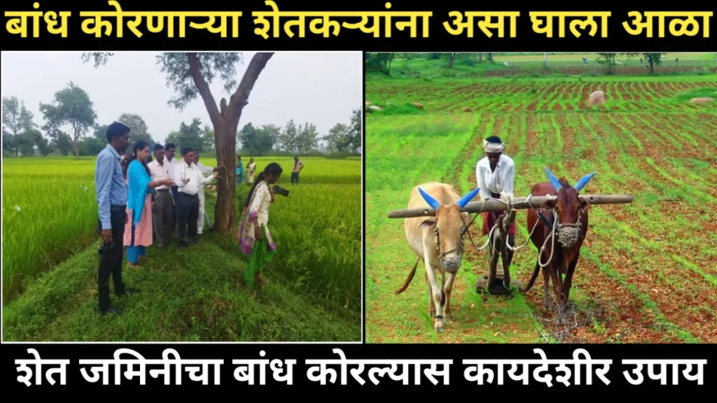 बांध कोरणाऱ्या शेतकऱ्यांना असा घाला आळा, शेत जमिनीचा बांध कोरल्यास कायदेशीर उपाय | Agriculture Law