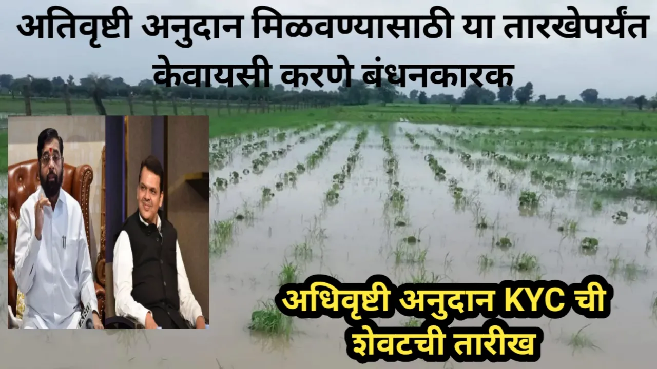 अतिवृष्टी अनुदान मिळवण्यासाठी या तारखेपर्यंत केवायसी करणे बंधनकारक, केवायसी केली तरच मिळणार अतिवृष्टी अनुदान | Ativrushti Anudan 